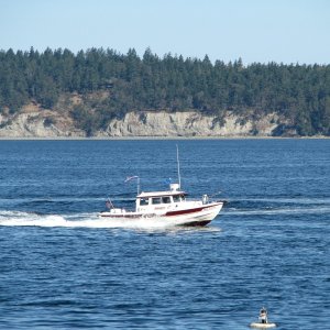 Media 'Doing some passes of the Sequim Bay State Park dock for photo opps.' in album 'Sequim Bay State Park walk and Dock.'