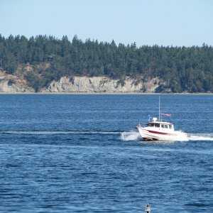 Just going through some figure 8's for the camera.  Sequim Bay State Park.