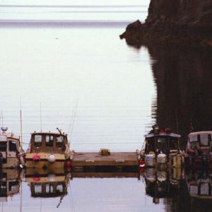 Media 'Untitled9.jpg' in album 'Red Fox's helm'