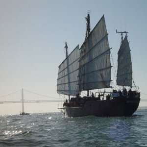 Media 'Fleet Week photo.JPG' in album '2002 Fleet week.jpg'