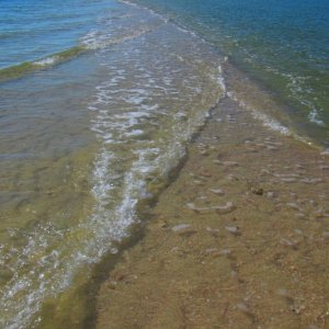 Media 'Round Key Spit' in album 'Keywadin Is., south of Naples'