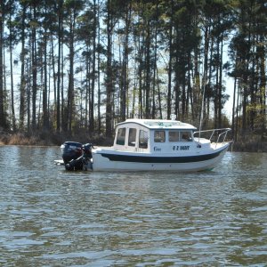 ANCHORED IN A QUIET COVE ON TOLEDO BEND LAKE, LA.