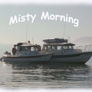 in-the-misty-morning.jpg