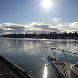 Media '2/5/20 - Sand Island Marine Park, across the channel from St. Helens, WA' in album 'This is Zenith the day we bought her, at a dealer in Tacoma.'