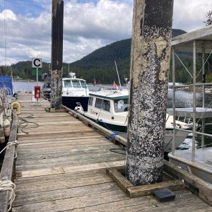 Media 'Pender Harbour wharf' in album 'Head of PLI with Chatterbox Falls'