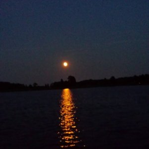 Media 'Our view while sitting on the dock at River Rest' in album 'Battery Point Light'