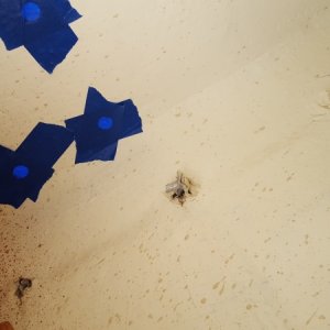 Media 'Getting ready to fill holes for downriggers, but look at the rub rail rivets...is that okay?' in album 'Primer on. After stripping with solvent, sanding, washing off with solvent. Ugh..'