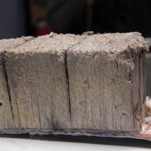 This shows how the balsa core can form little paths for water.  This piece is actually upside down from how it sat in the hull.  All of this is stained but still structurally sound.  The little hole is from being poked with my moisture meter, not termites!
