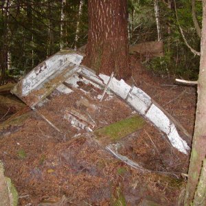 Reason for Memorial