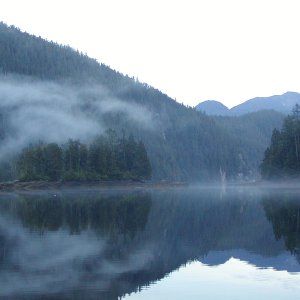 Kwatsi Bay Mist