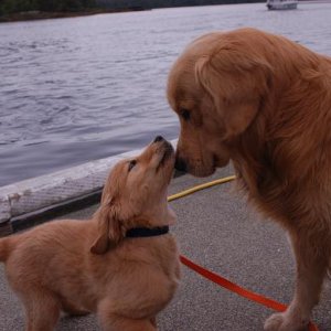 Really good friends