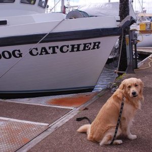Dumb name for a boat