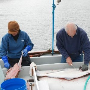 Met up with friends in White Stone Cove for dinner and fish cleaning