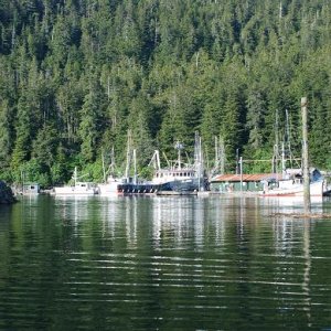 Outer Harbor at Elfin Cove