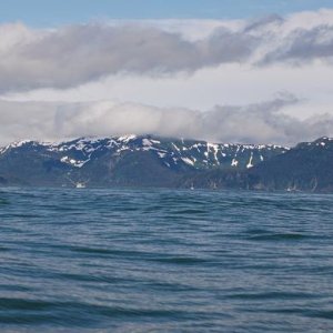 7-01-08   Icy Point, Gulf of Alaska