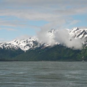 Icy Point