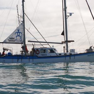 Blue Dolphin fishing for salmon @ Icy Point