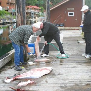 Our neighbor at Elfin Cove "Bud"