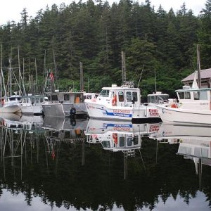 Eagle Charters, Elfin Cove, Ak.