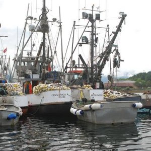 Seiners were stacked up in Sitka