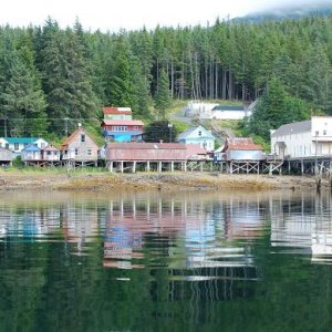 8-06-08     Tenakee Springs Ak