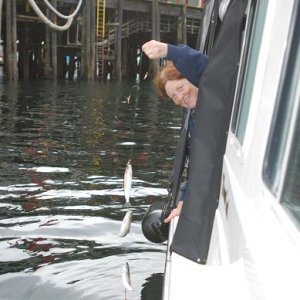 8-10-08     Catching bait in Petersberg