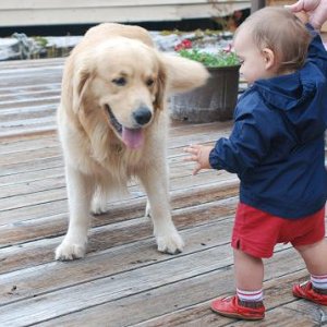 Dawson loves Jonah