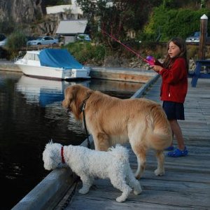 Secret Cove B.C.      Dawson has friends in every port