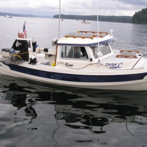 Shrimping