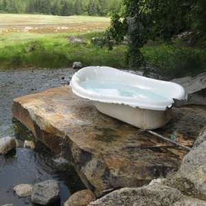 Eucott Hot Springs