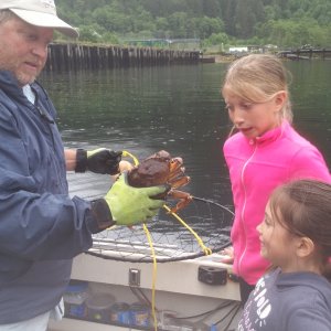 Crabbing
