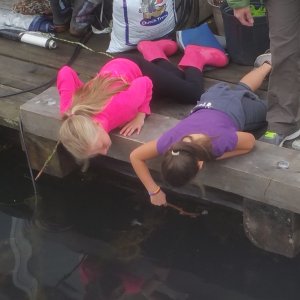 Granddaughters Critter hunting