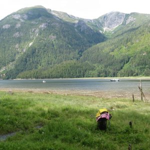 Eucott Hot Springs Bay