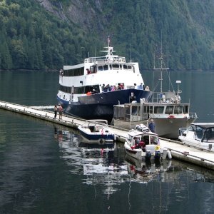 Media 'SleepyC & Julie Anne sharing the nearly empty dock with a ski boat that came up from Vashon Island, a tour boat from Egmont,BC, and a small ship cruise boat out of Seattle that is 120ft long.  He anchors out here for a couple of days and lets the guests kayak and hike.  He flies an RC float plane for kicks.' in album 'B-Boat 22, the Julie Anne, running with us up to Princes Louisa Inlet.  Flat here but we did see WOW(Waves On Water)! and lots of rain. C-Dory used 1/2 the fuel at every stop.'