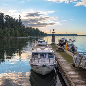 Sequim Evening