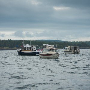 Blue-Max, Sleepy-C and Lighthouse Express Regrouping