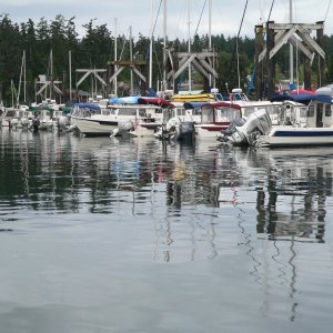 All C-Dory's Have Arrived