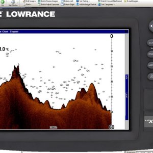 LCX111 Emulator with Fish Symbols turned on