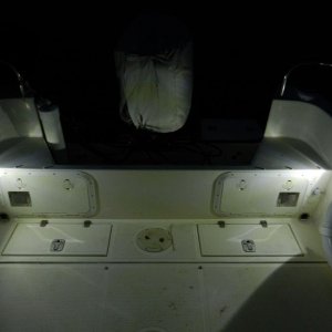 Festoon lights on