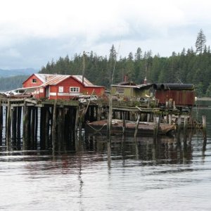 Alert Bay3