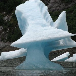 Ice Schlpture