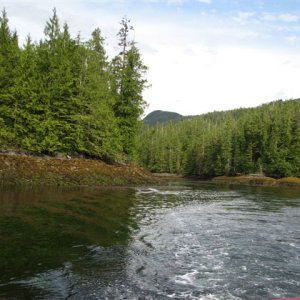 Jackson Narrows1