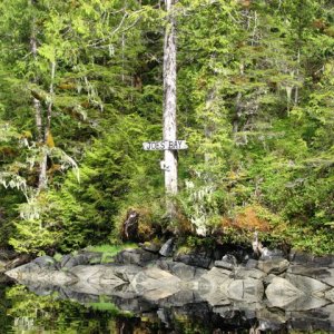 Joe\'s Bay