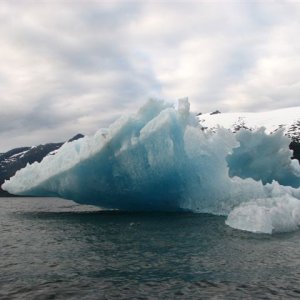 Tracy arm Iceberg