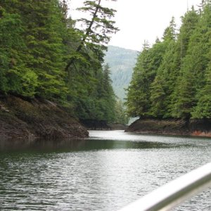 Watts Narrows