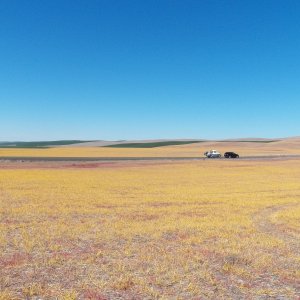 Driving through the Palouse to the Snake River.