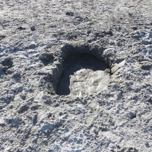 Walking on the island beach was fun.  This two foot by three foot hole was interesting.  All of those footprints, and not one human.