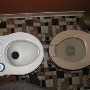 Thetford Curve vs Standard Home Toilet. As taken from Thetford's website, here are some of the specifications: 
- --Height: 17-5/8"	Fresh Water: 4.0 gal 
---Depth: 17-3/4" Waste Tank: 5.5 gal 
--- Width: 15-1/4" Average Flushes: 56 
--- Battery-powered flush
