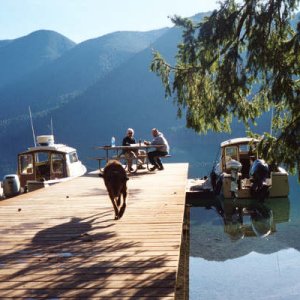 Dock at Lake Crescent
