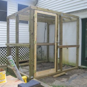 Kitty Coop 1